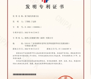 量子磁光传感方法